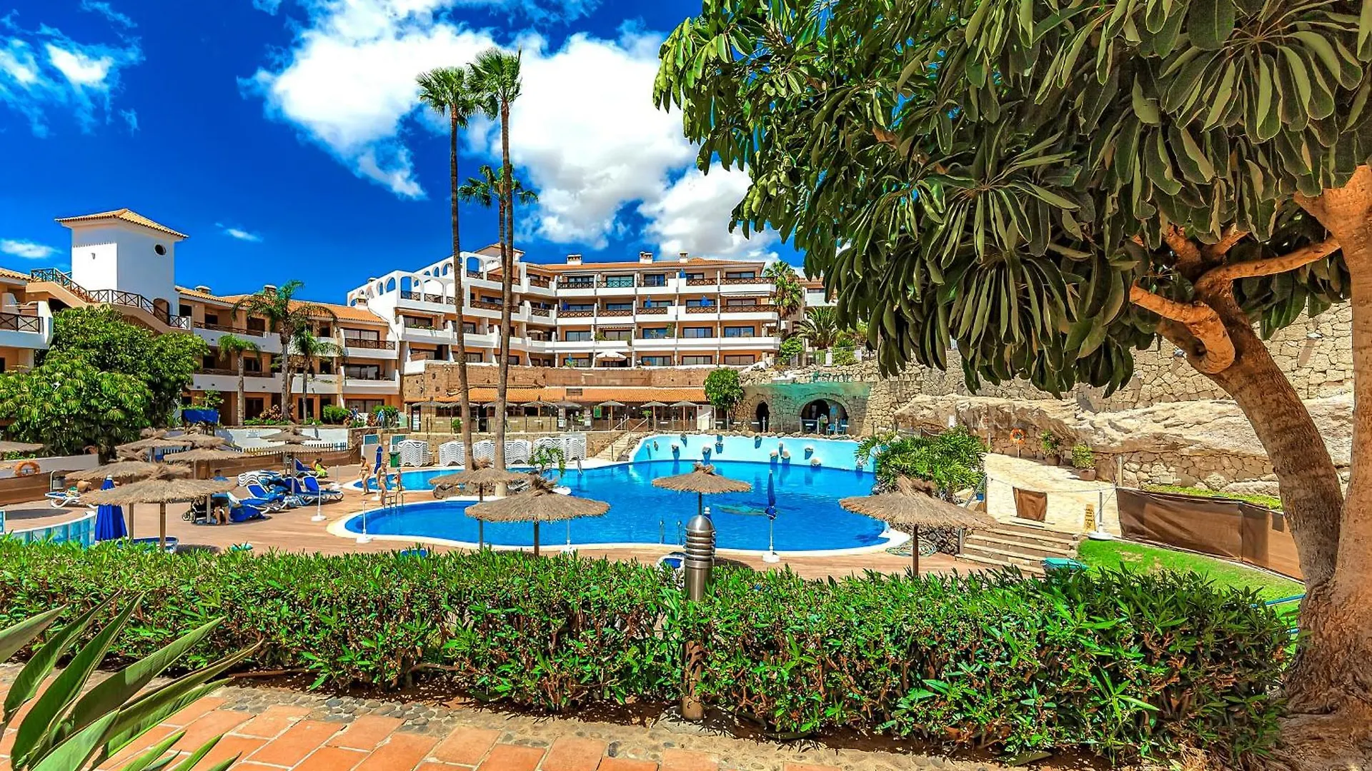 Mandarina 326 Apartment San Miguel de Abona